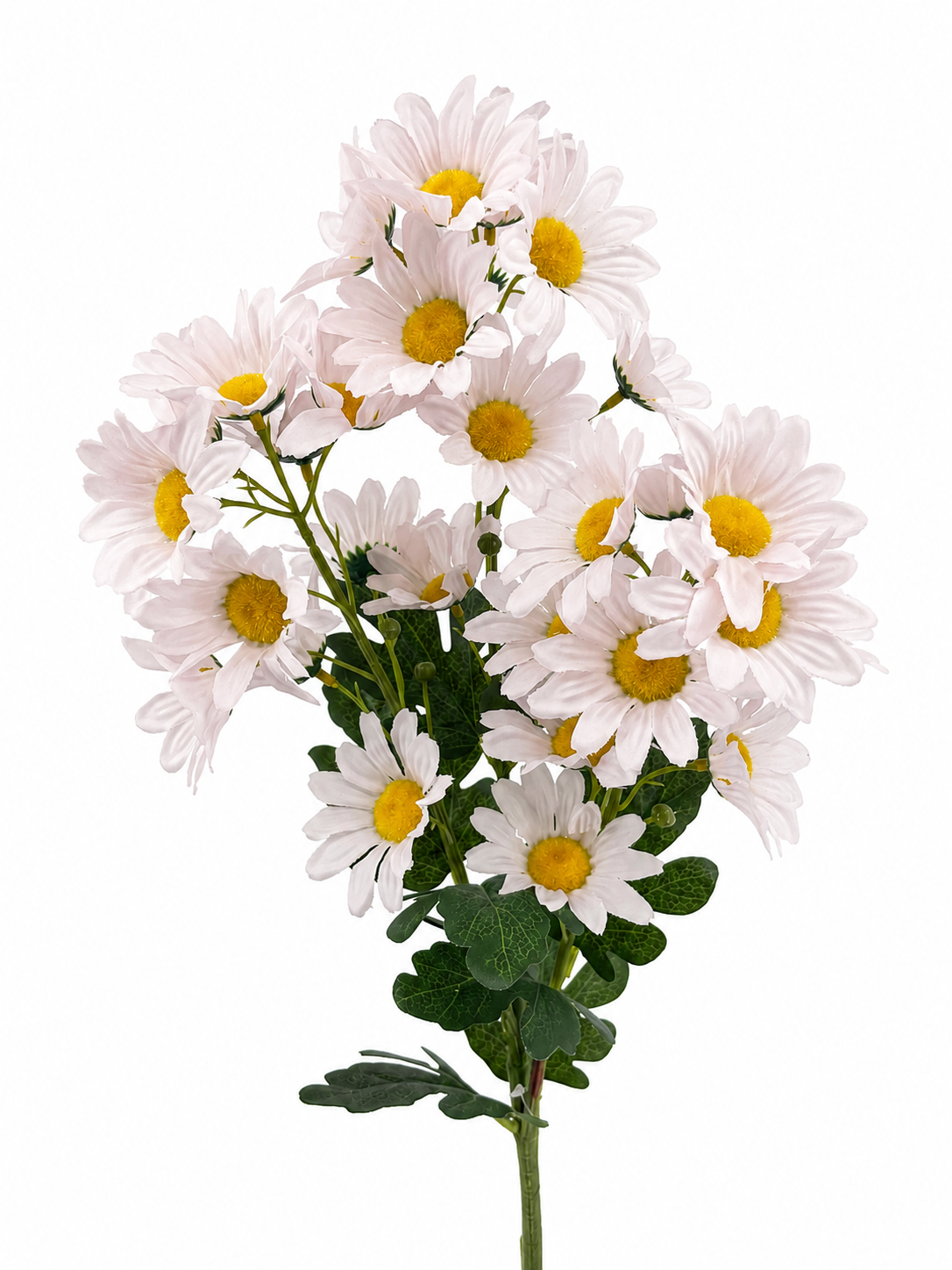 FL13758 MARGUERITE DAISY SPRAYx3 31.5"
