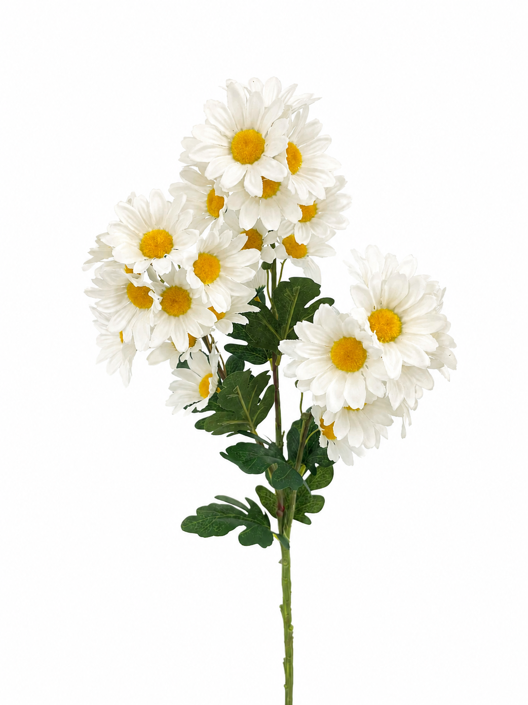 FL13758 MARGUERITE DAISY SPRAYx3 31.5"