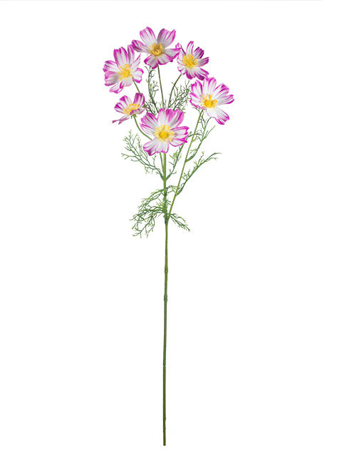 FL13761 COSMO SPRAYx6 30.5"