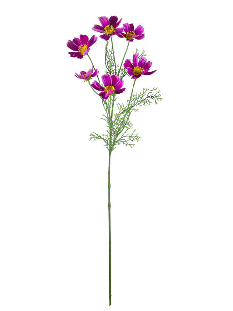 FL13761 COSMO SPRAYx6 30.5"