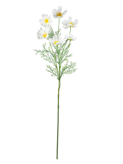 FL13761 COSMO SPRAYx6 30.5"