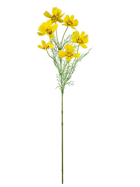 FL13761 COSMO SPRAYx6 30.5"