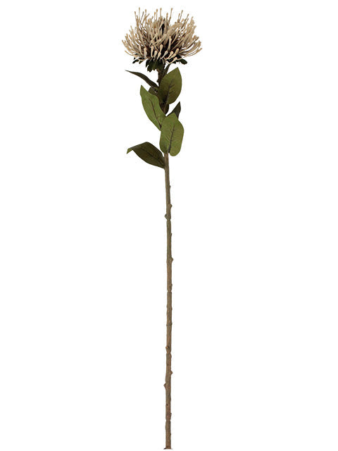 FL13762 PROTEA SPRAY 28"