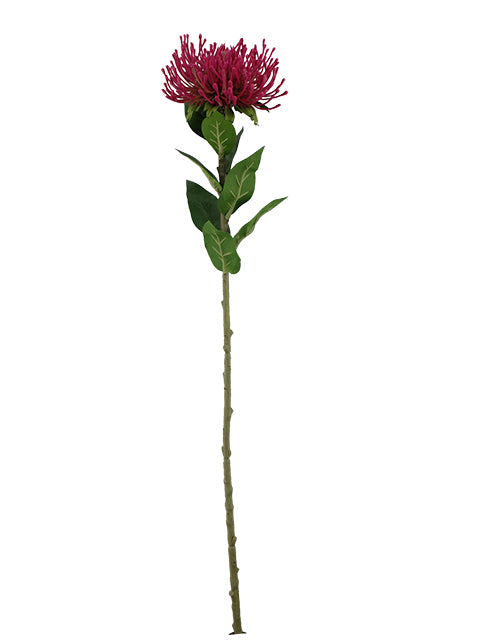 FL13762 PROTEA SPRAY 28"