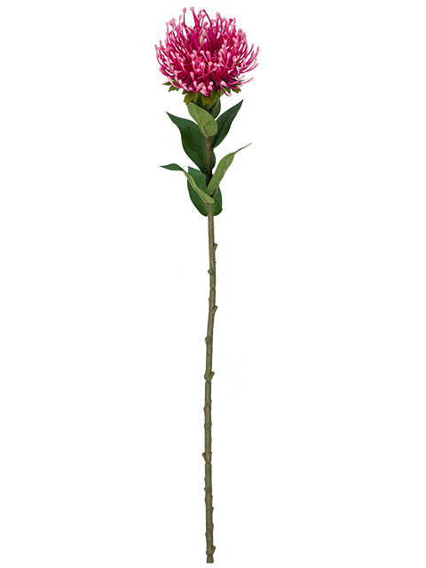 FL13762 PROTEA SPRAY 28"