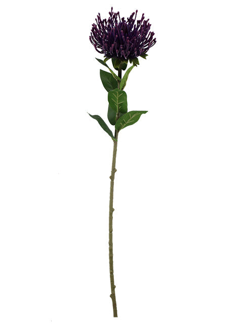 FL13762 PROTEA SPRAY 28"