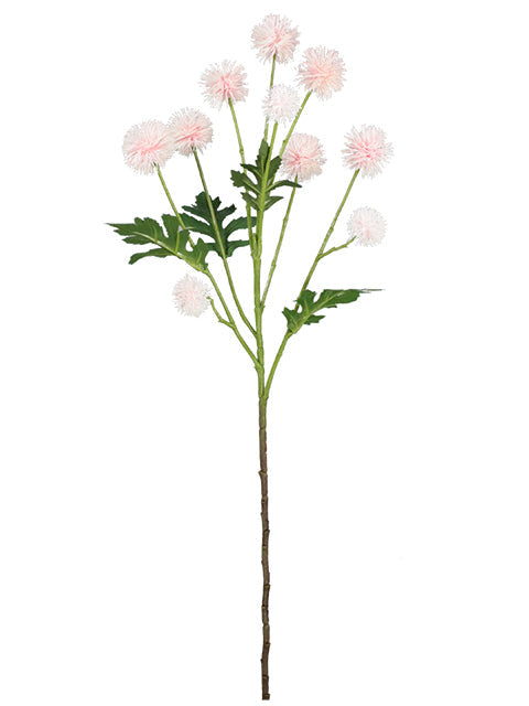 FL13763 POMPOM SPRAYx10 24"