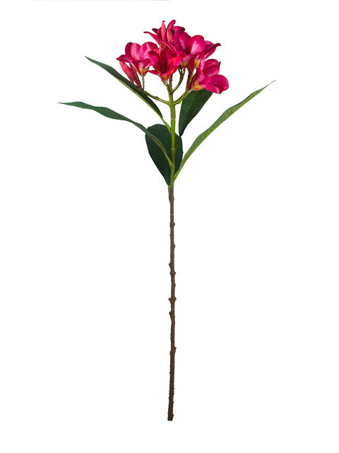 FL13766 PLUMERIA SPRAY 29.5"