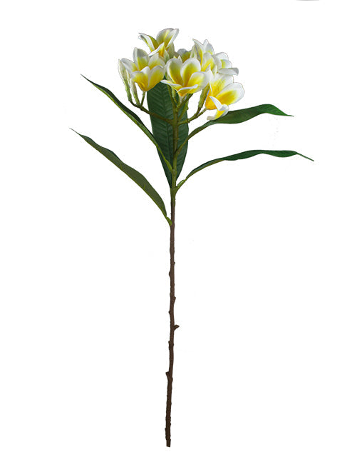 FL13766 PLUMERIA SPRAY 29.5"