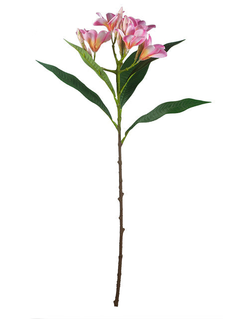FL13766 PLUMERIA SPRAY 29.5"