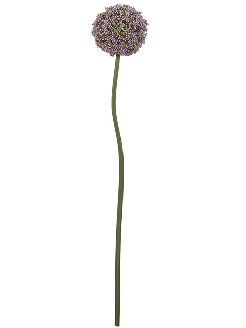 FL13767 ALLIUM SPRAY 29.5"