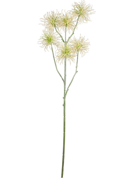 FL13770 XANTHIUM SPRAYx6 32"