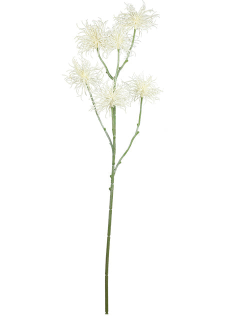 FL13770 XANTHIUM SPRAYx6 32"