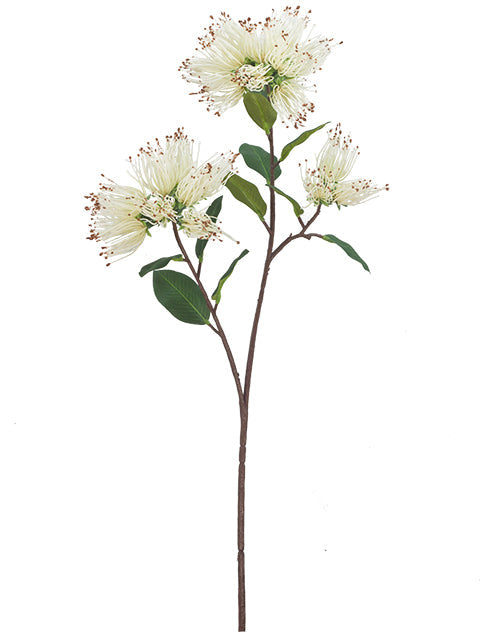 FL13772 PINCUSHION PROTEA SPRAYx3F 25.5"