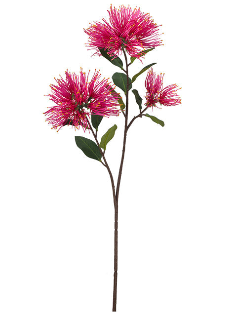 FL13772 PINCUSHION PROTEA SPRAYx3F 25.5"