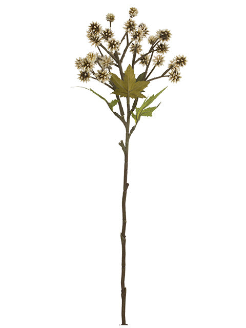 FL13773 SANICULA SPRAY 20"