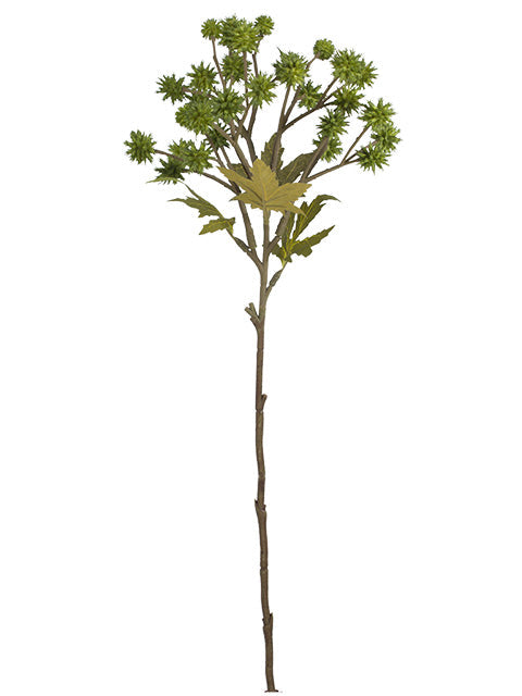 FL13773 SANICULA SPRAY 20"