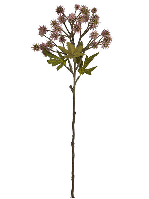 FL13773 SANICULA SPRAY 20"