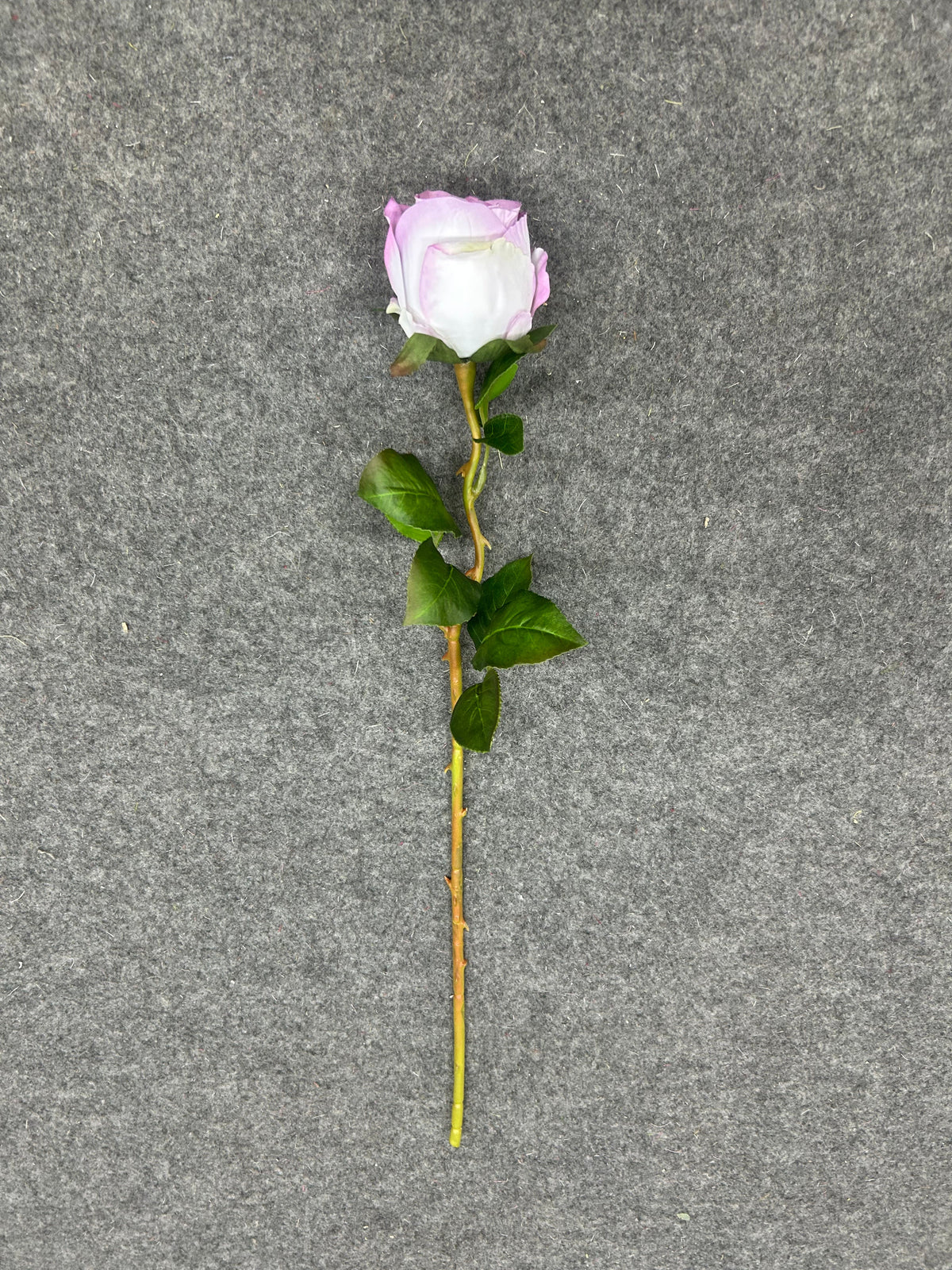 FL13782 ROSE 20.5"
