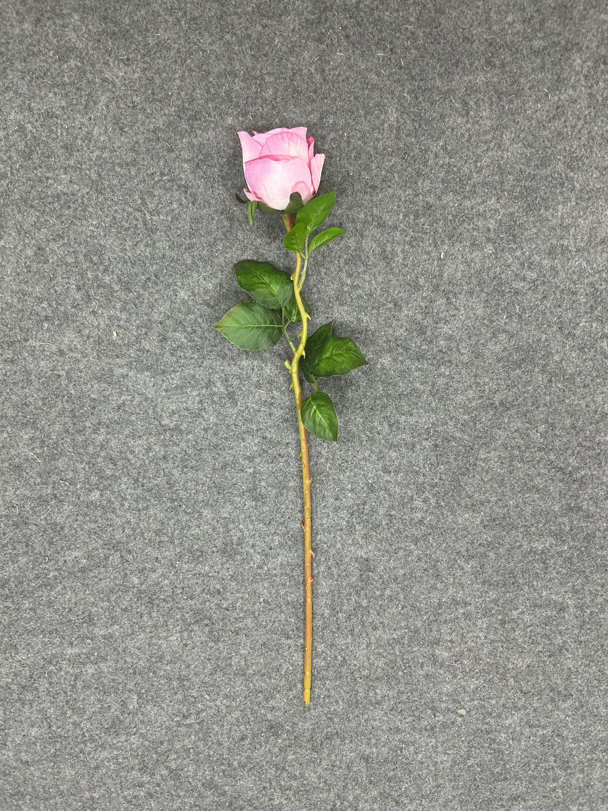 FL13782 ROSE 20.5"