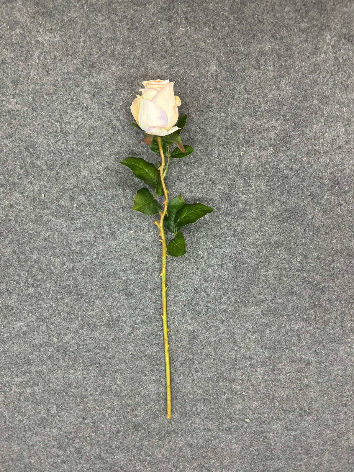 FL13782 ROSE 20.5"