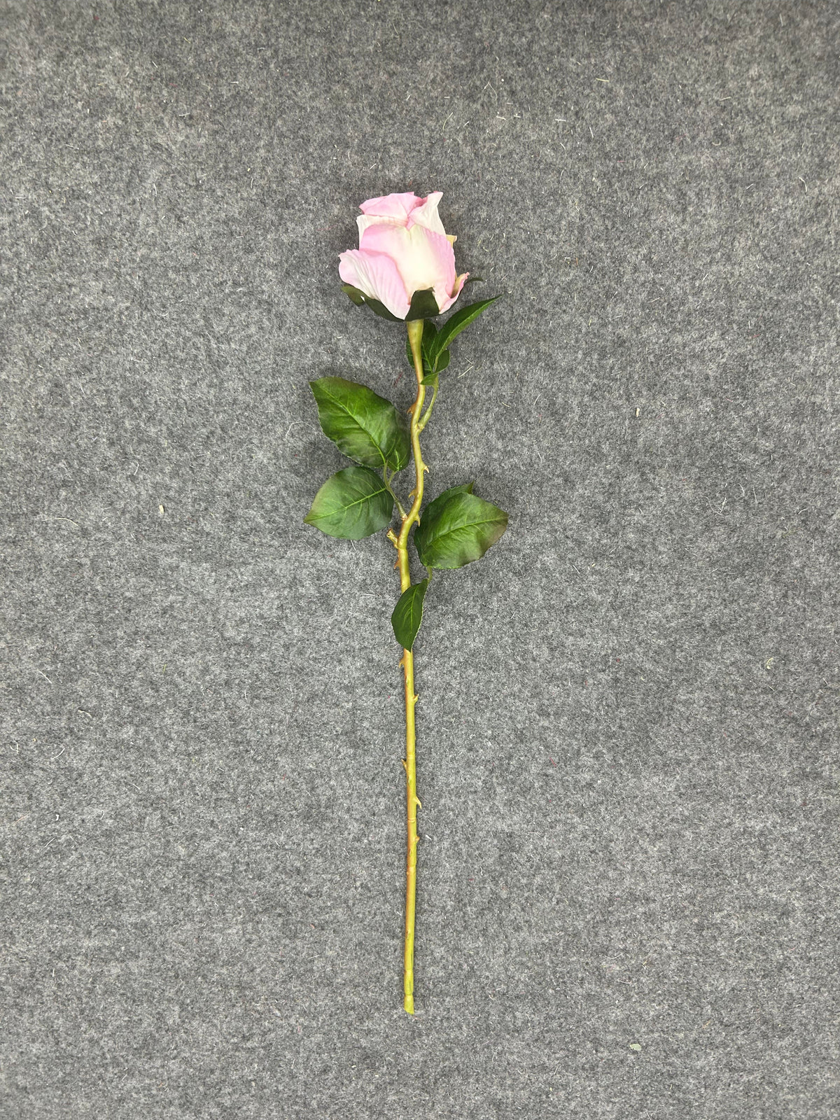 FL13782 ROSE 20.5"