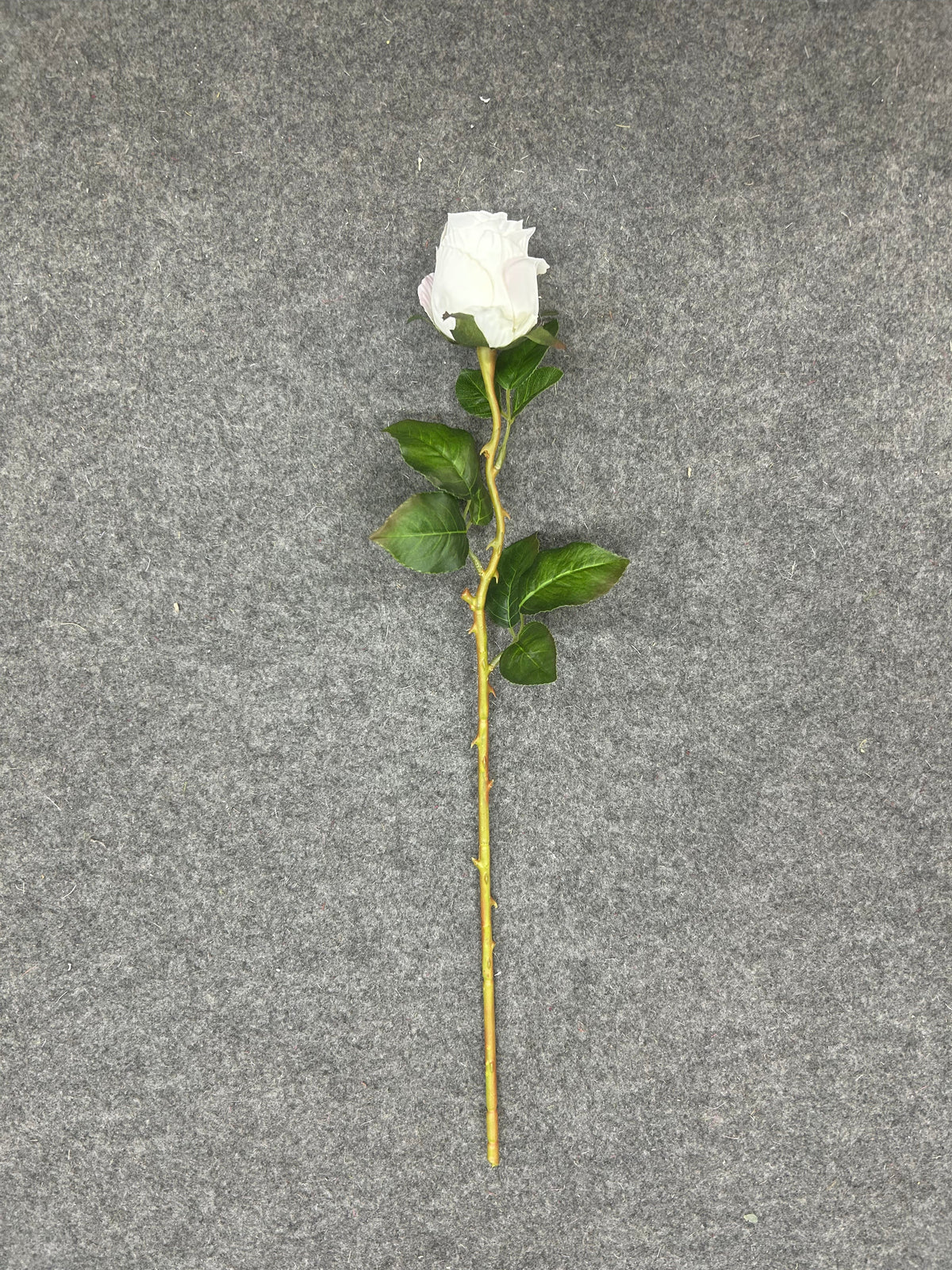 FL13782 ROSE 20.5"