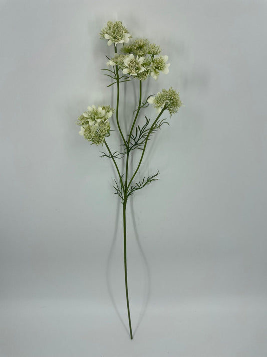 FL13803 QUEEN ANNES LACE  33"