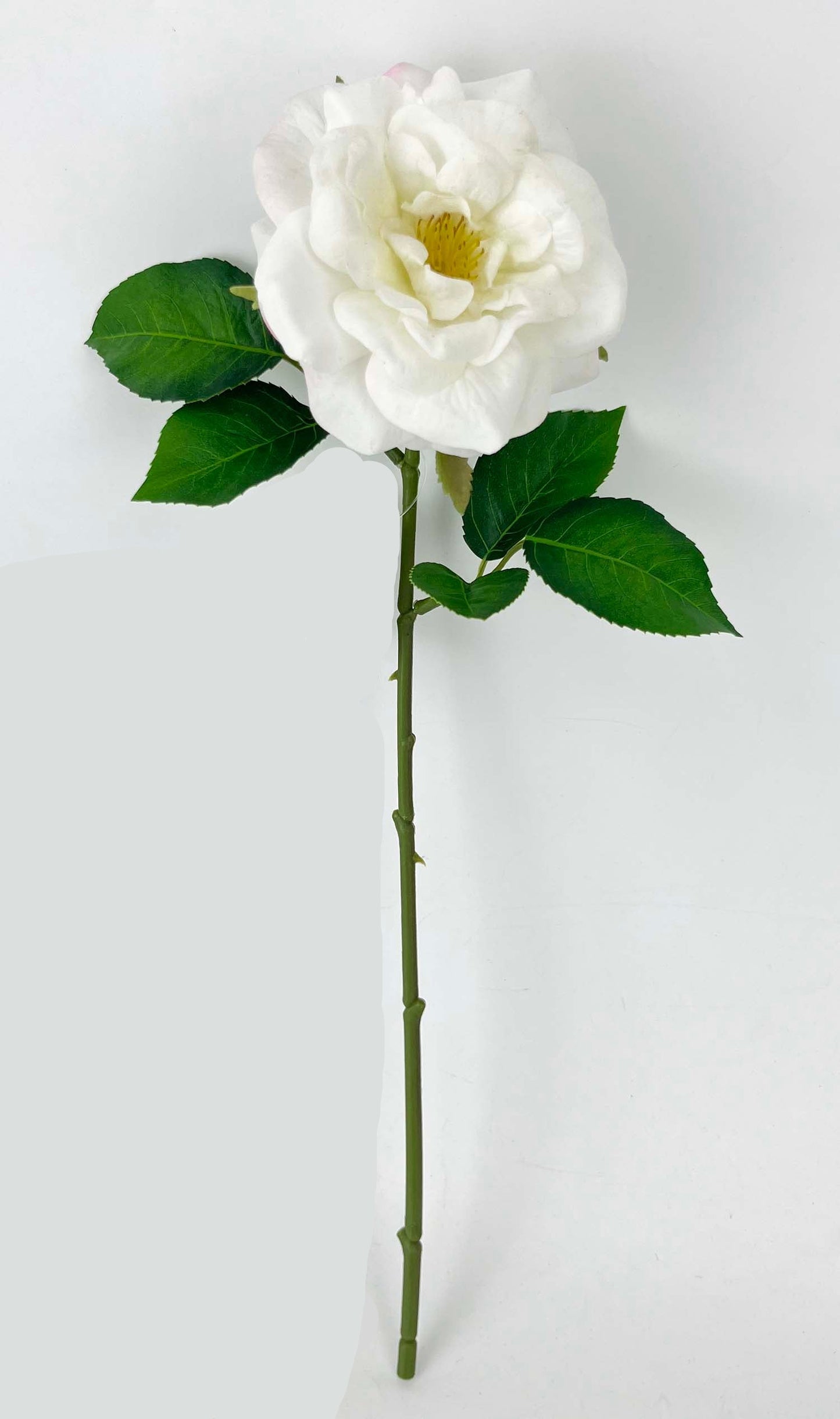 FL13811 GARDEN ROSE SPRAY (NAT) 18"