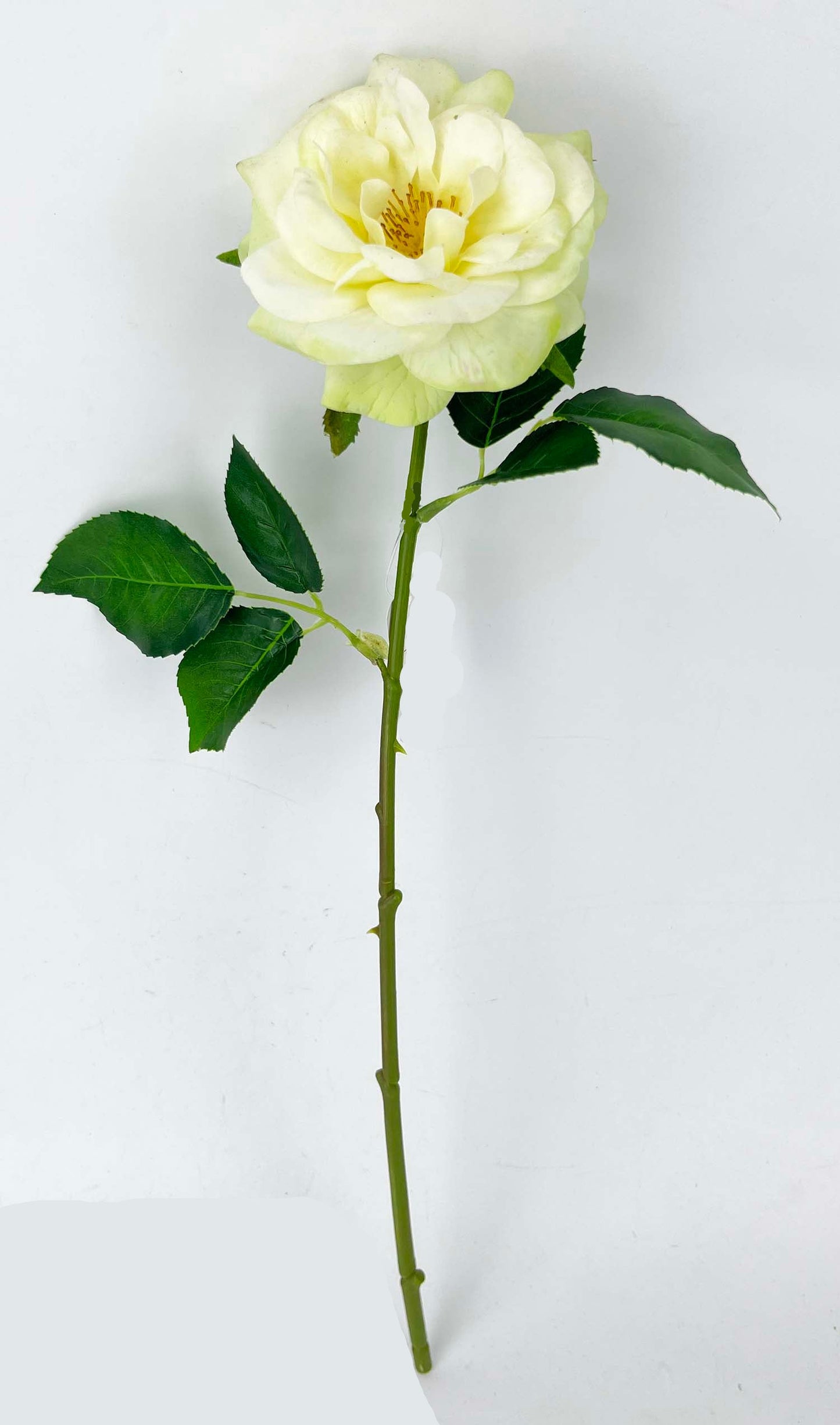 FL13811 GARDEN ROSE SPRAY (NAT) 18"