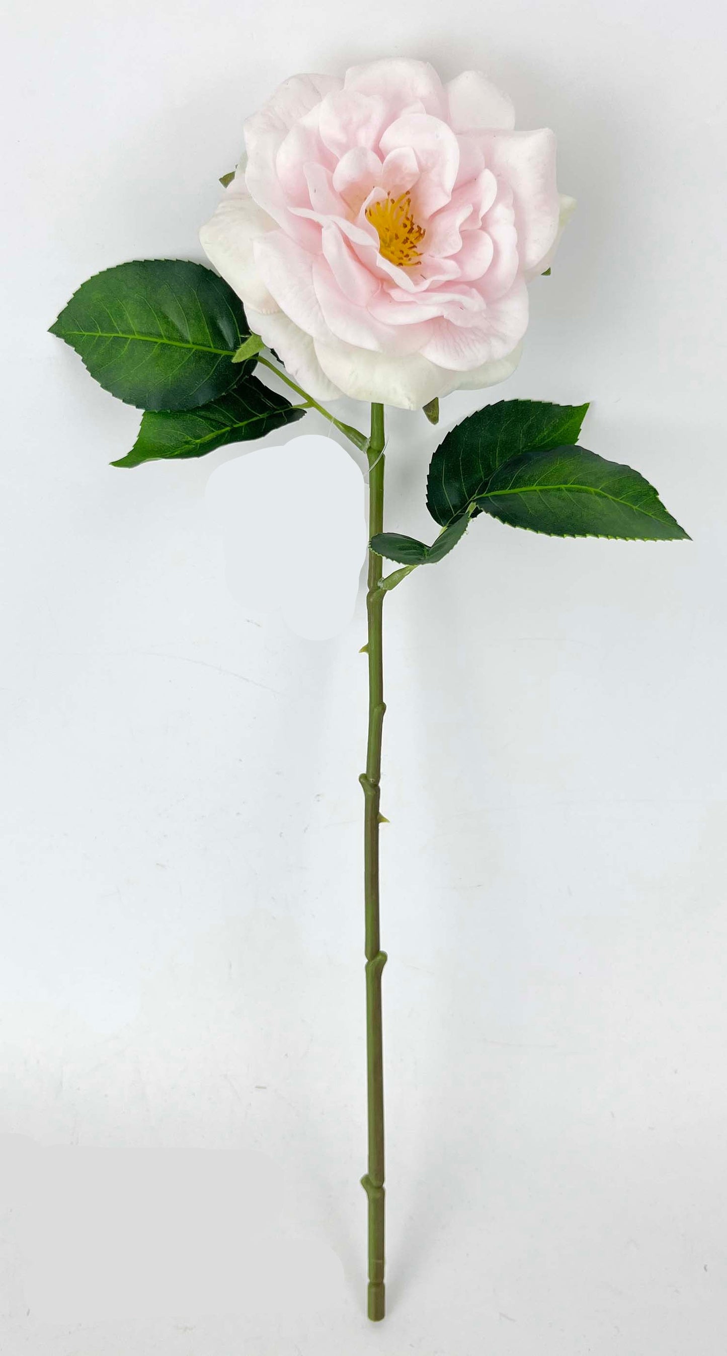 FL13811 GARDEN ROSE SPRAY (NAT) 18"