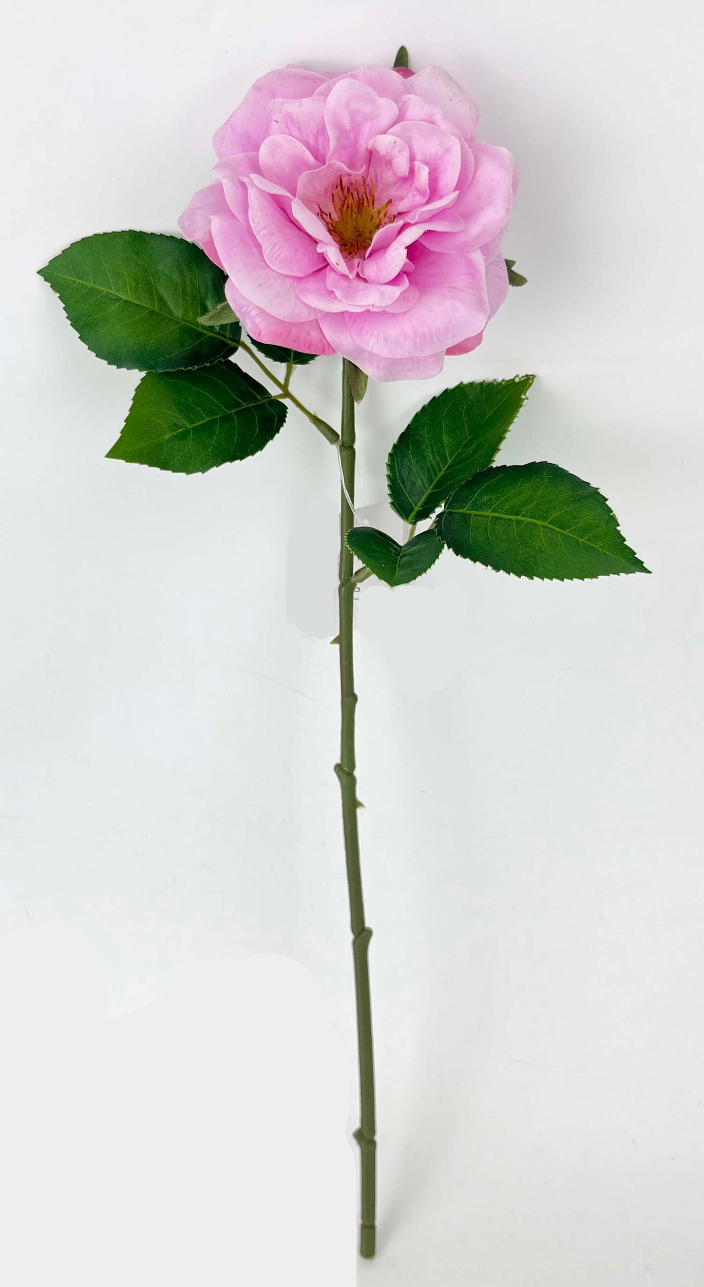 FL13811 GARDEN ROSE SPRAY (NAT) 18"