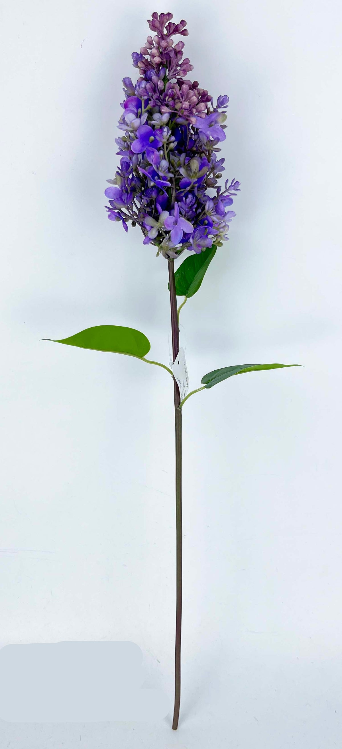 FL13814 LILAC SPRAY 24"