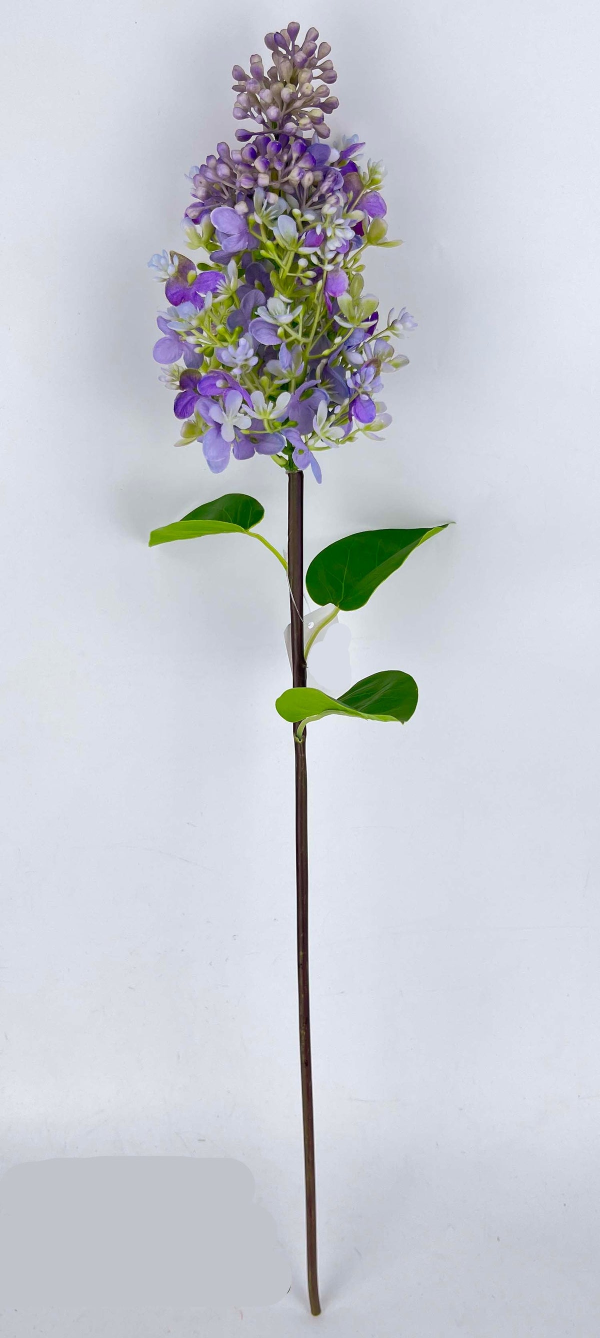 FL13814 LILAC SPRAY 24"