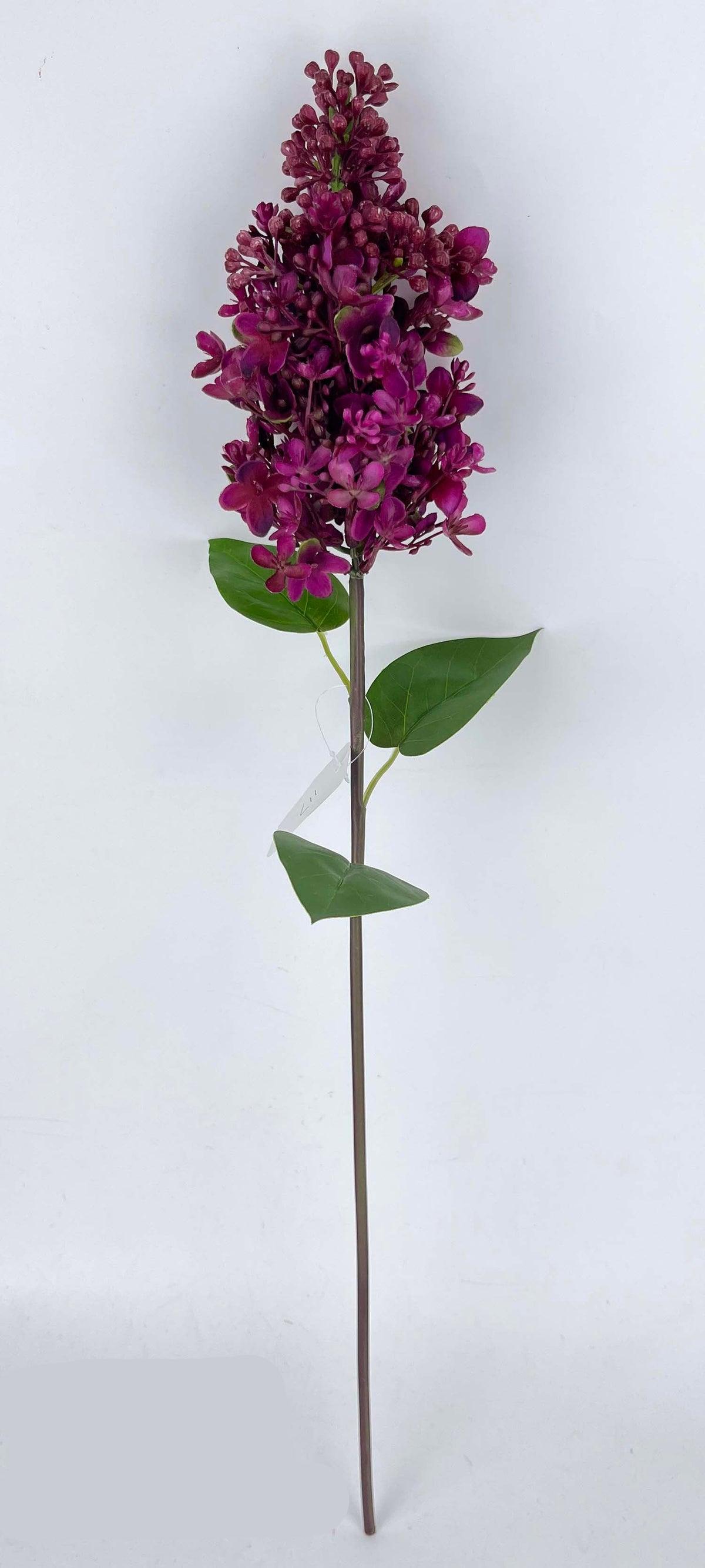 FL13814 LILAC SPRAY 24"