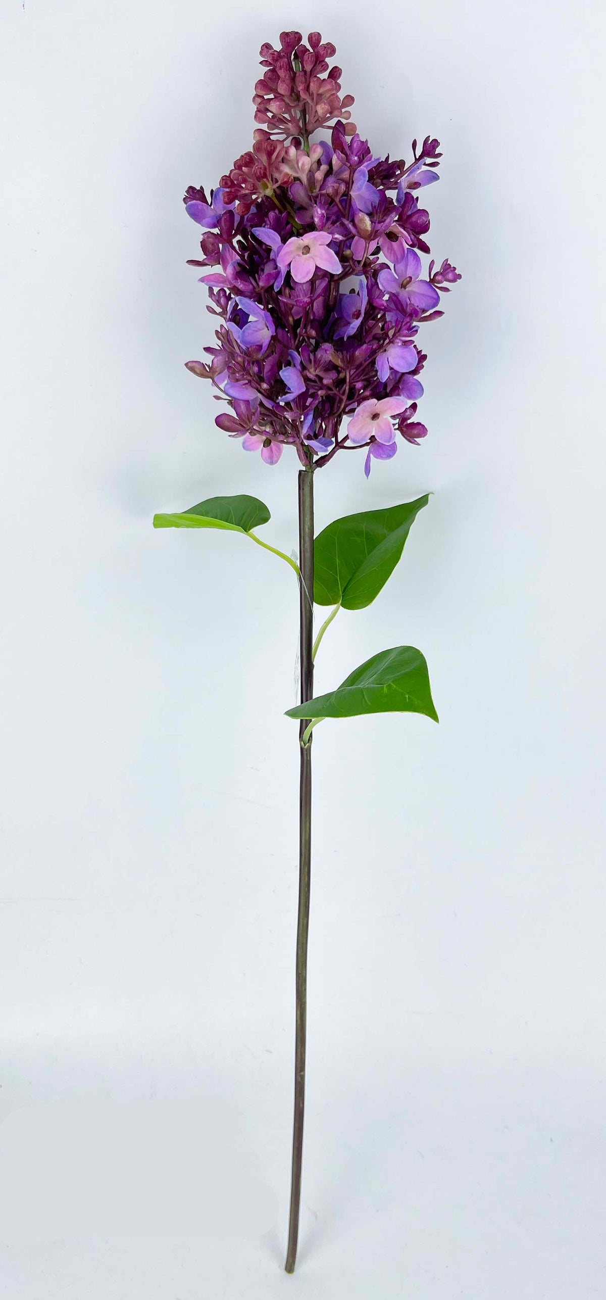 FL13814 LILAC SPRAY 24"