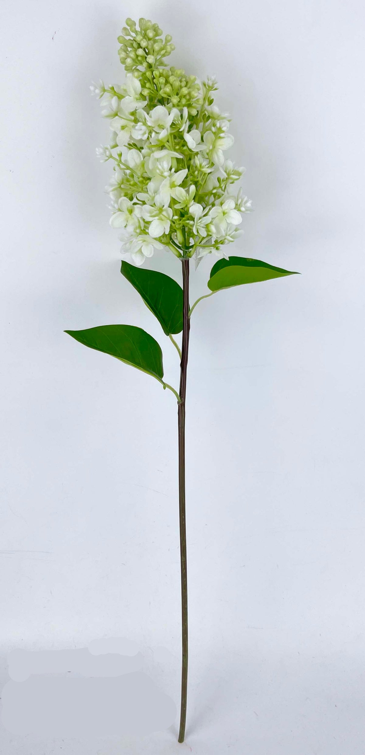 FL13814 LILAC SPRAY 24"