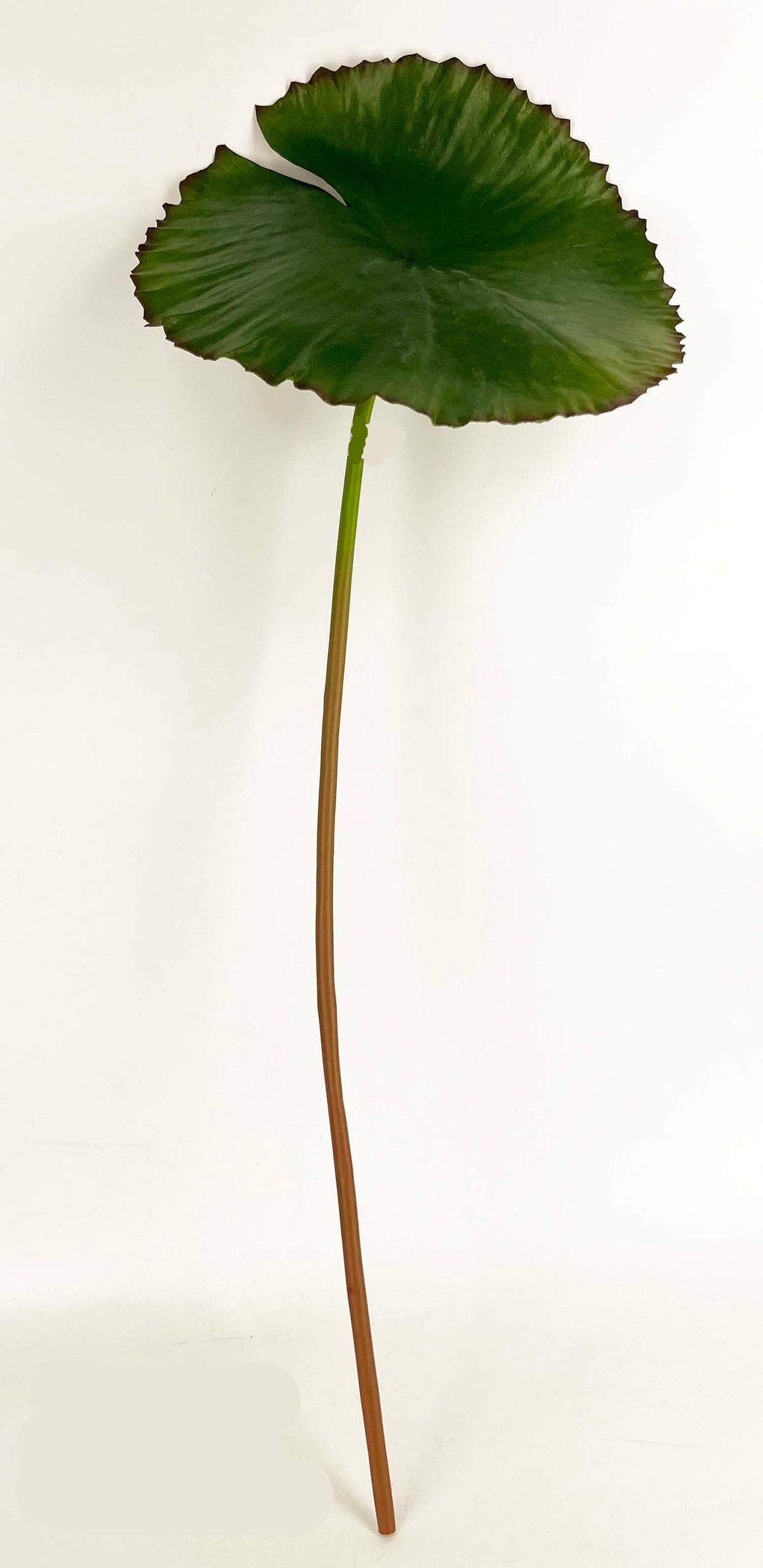 FL13817 LOTUS LEAF 31"