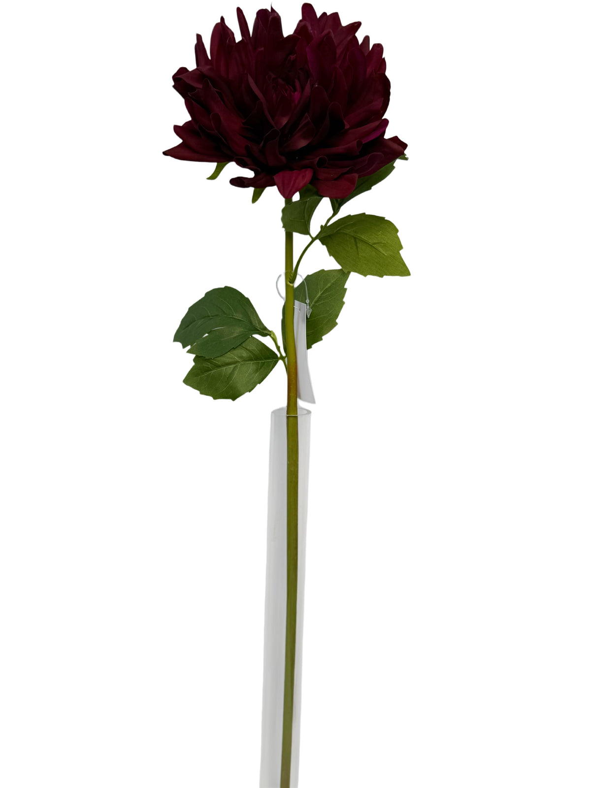 FL13823 DAHLIA (NAT) 24"