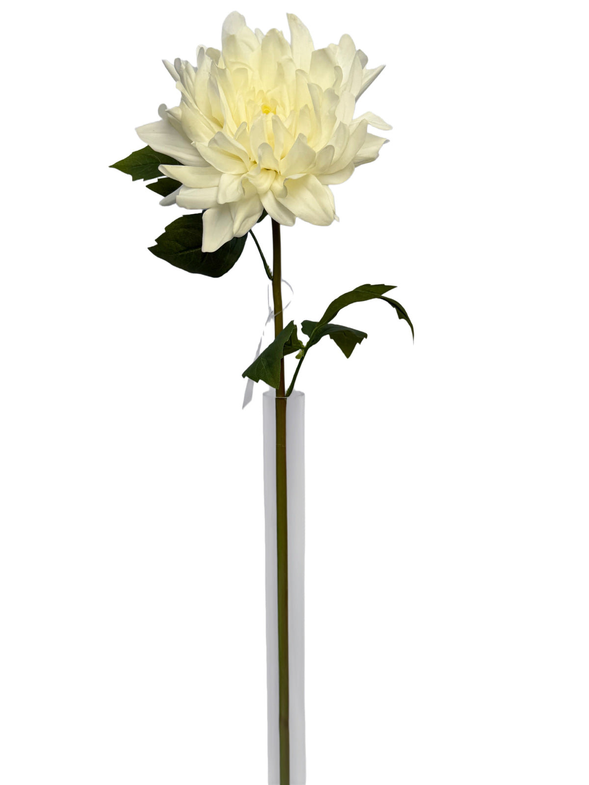 FL13823 DAHLIA (NAT) 24"