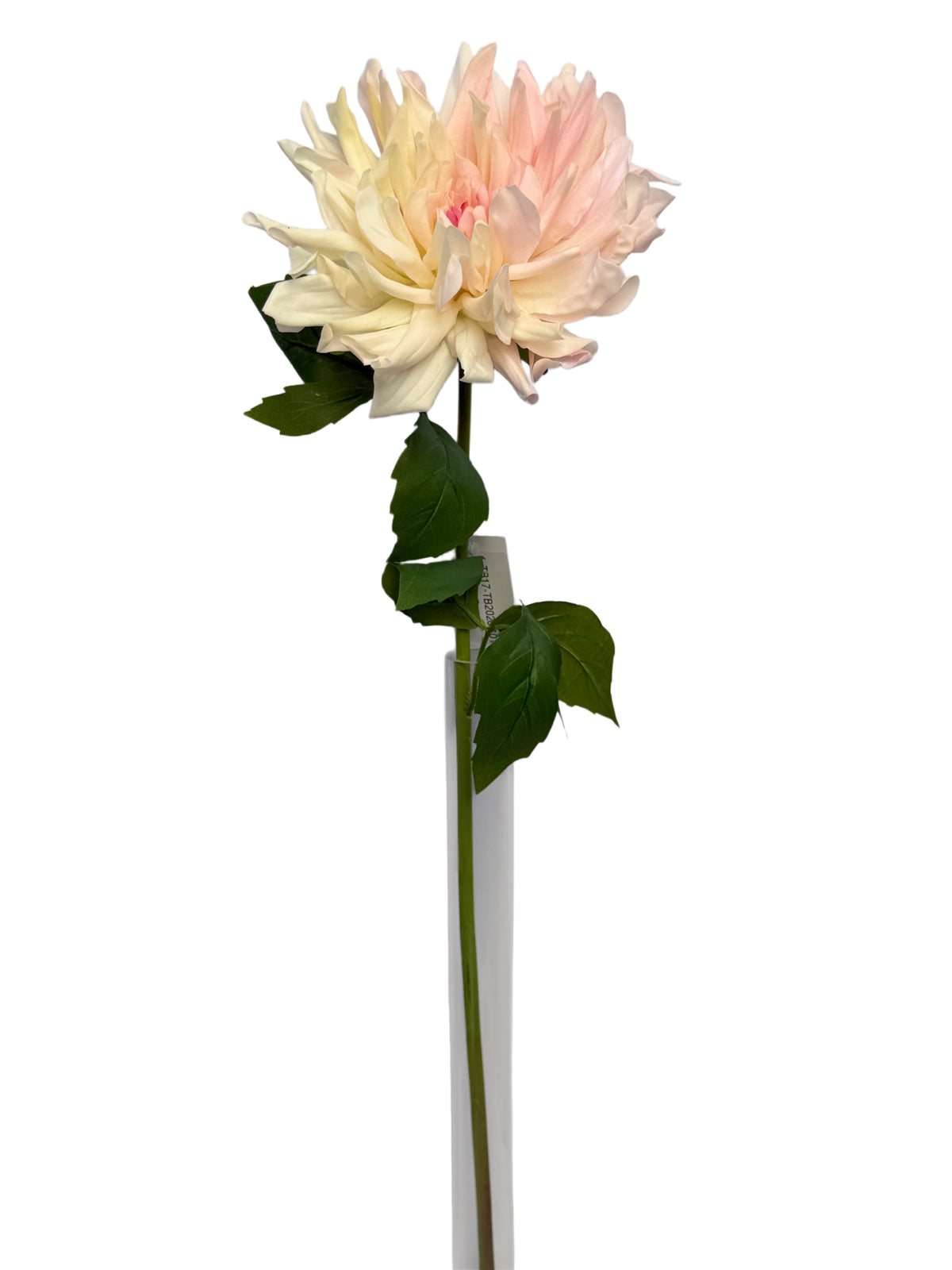 FL13823 DAHLIA (NAT) 24"