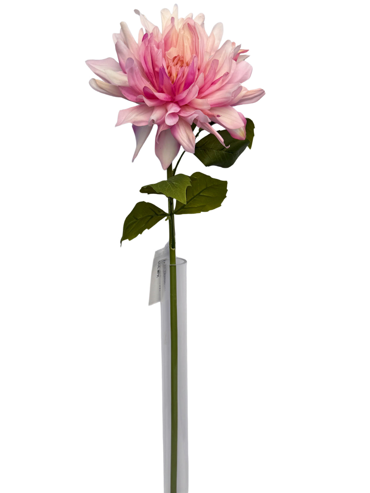 FL13823 DAHLIA (NAT) 24"