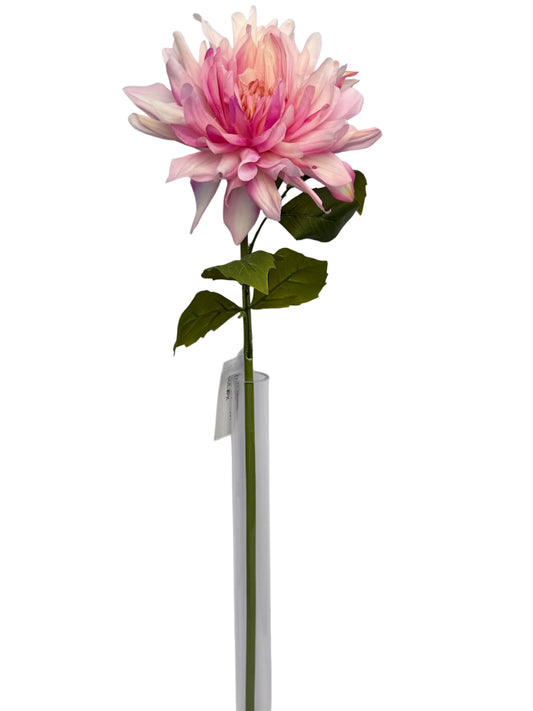 FL13823 DAHLIA (NAT) 24"