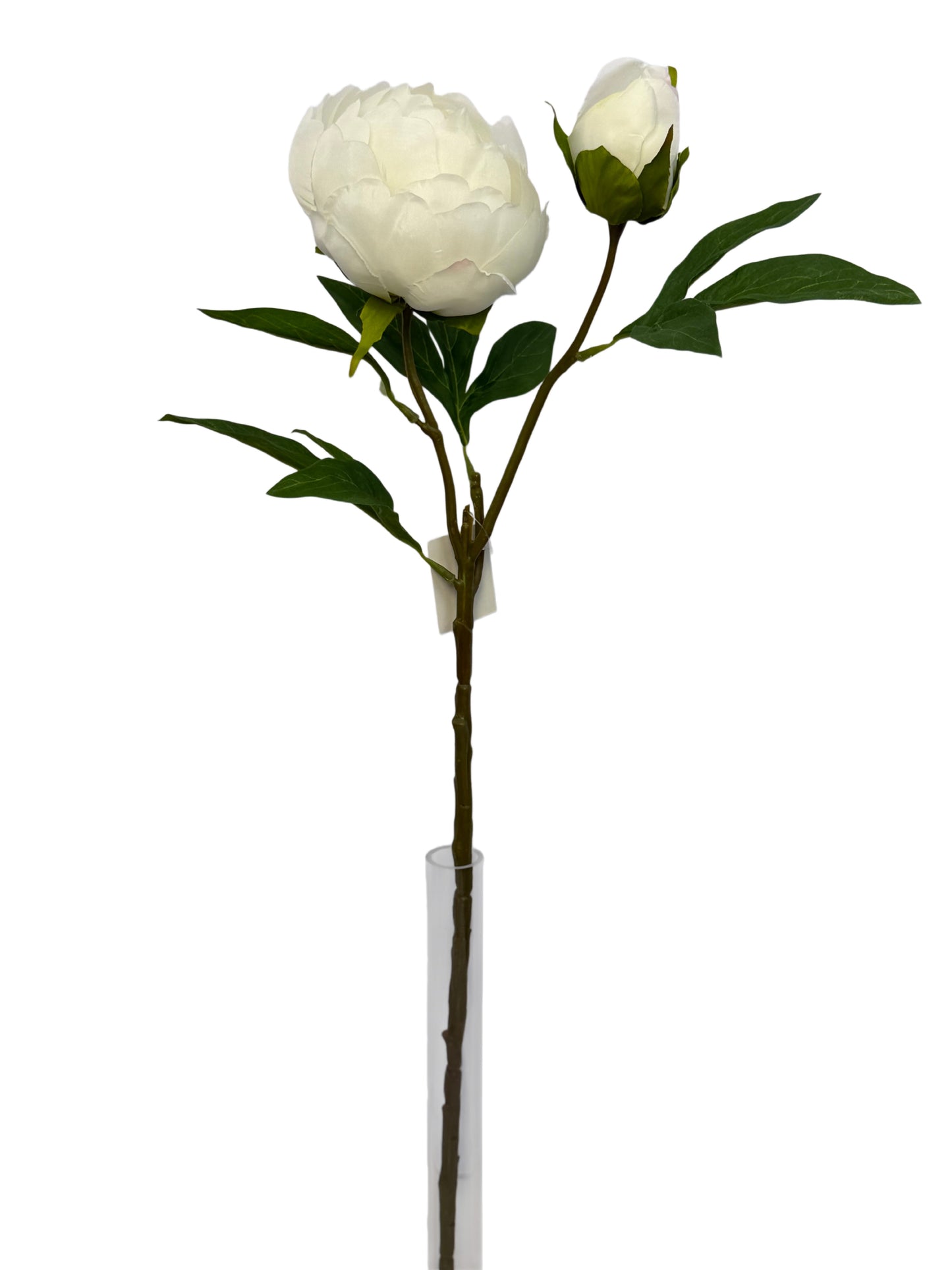 FL13824 PEONY SPRAYx1F1B 25.5"