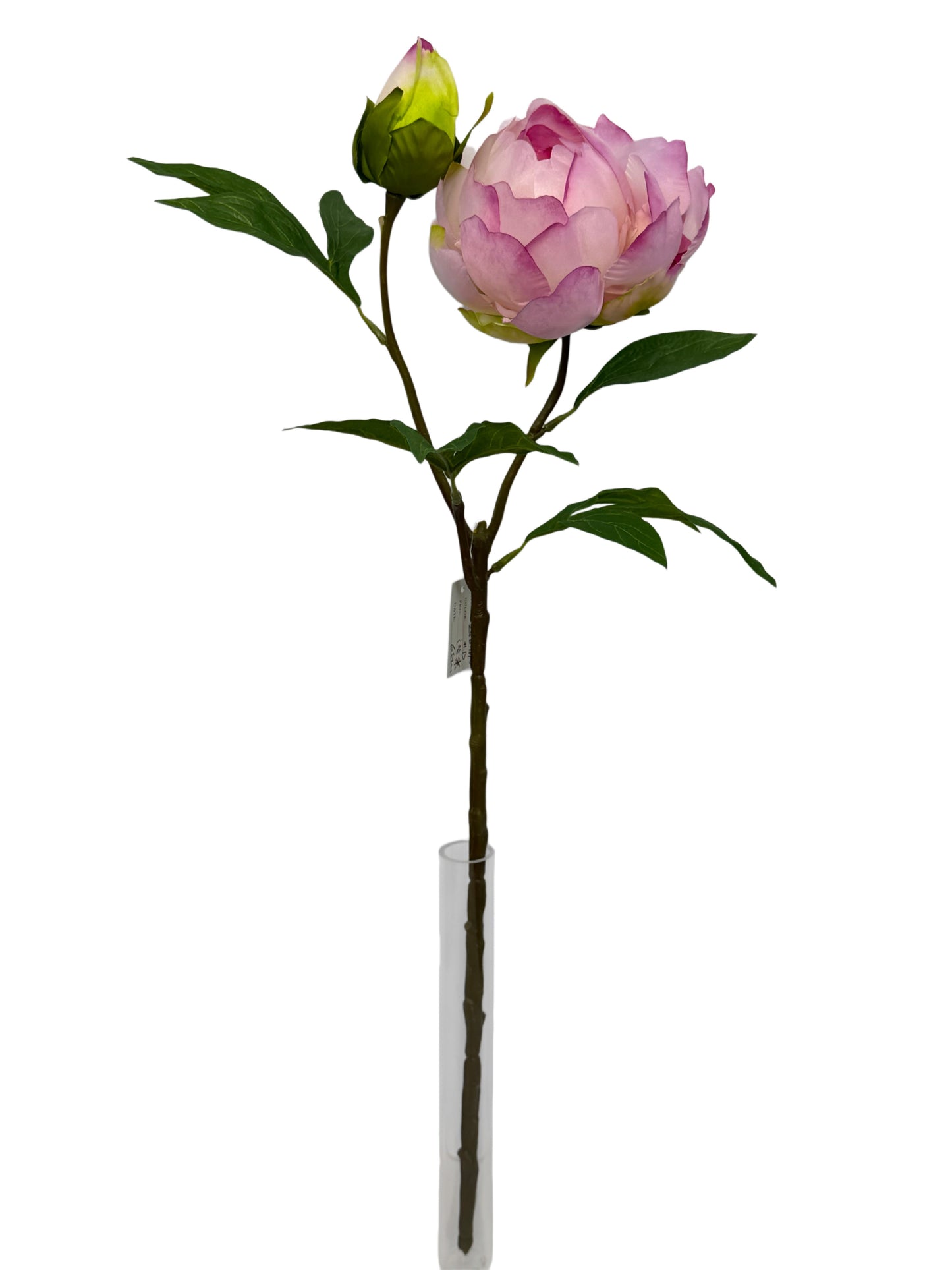 FL13824 PEONY SPRAYx1F1B 25.5"