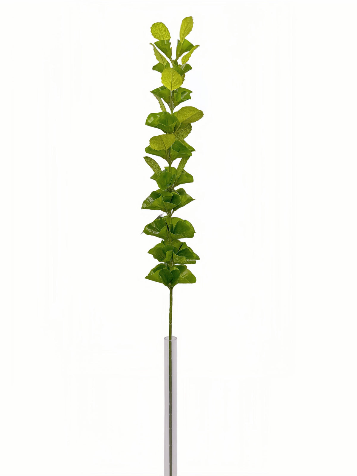 FL13831 BELLS OF IRELAND 39"