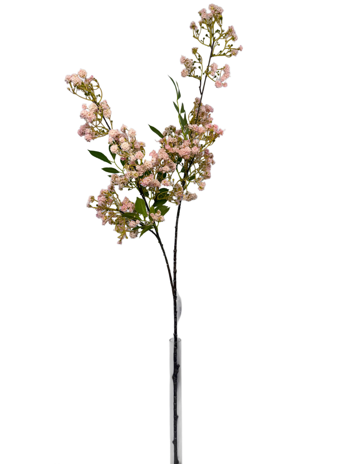 FL13834 GYPSOPHILA SPRAYx2 43.5"