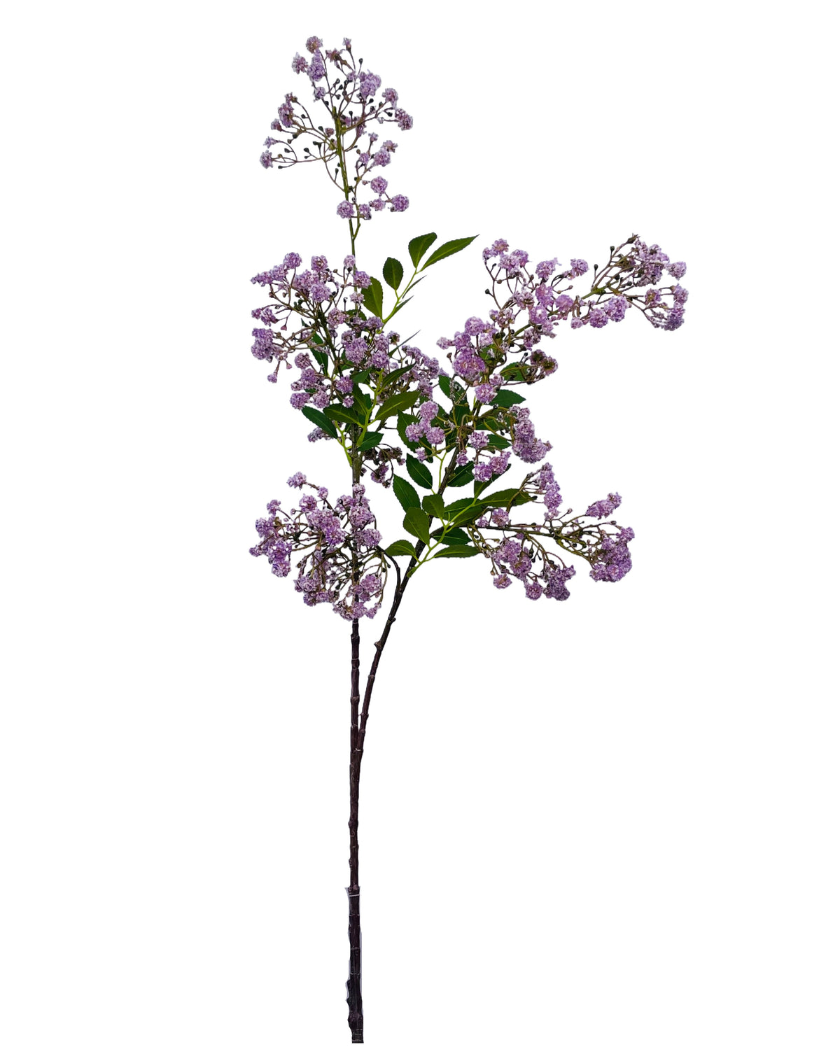 FL13834 GYPSOPHILA SPRAYx2 43.5"