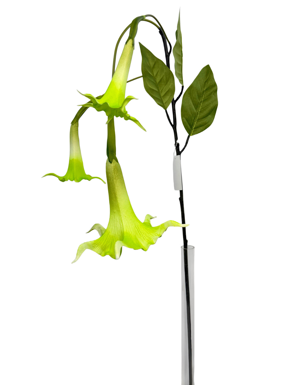 FL13836 TRUMPET LILY SPRAYx3F 51"