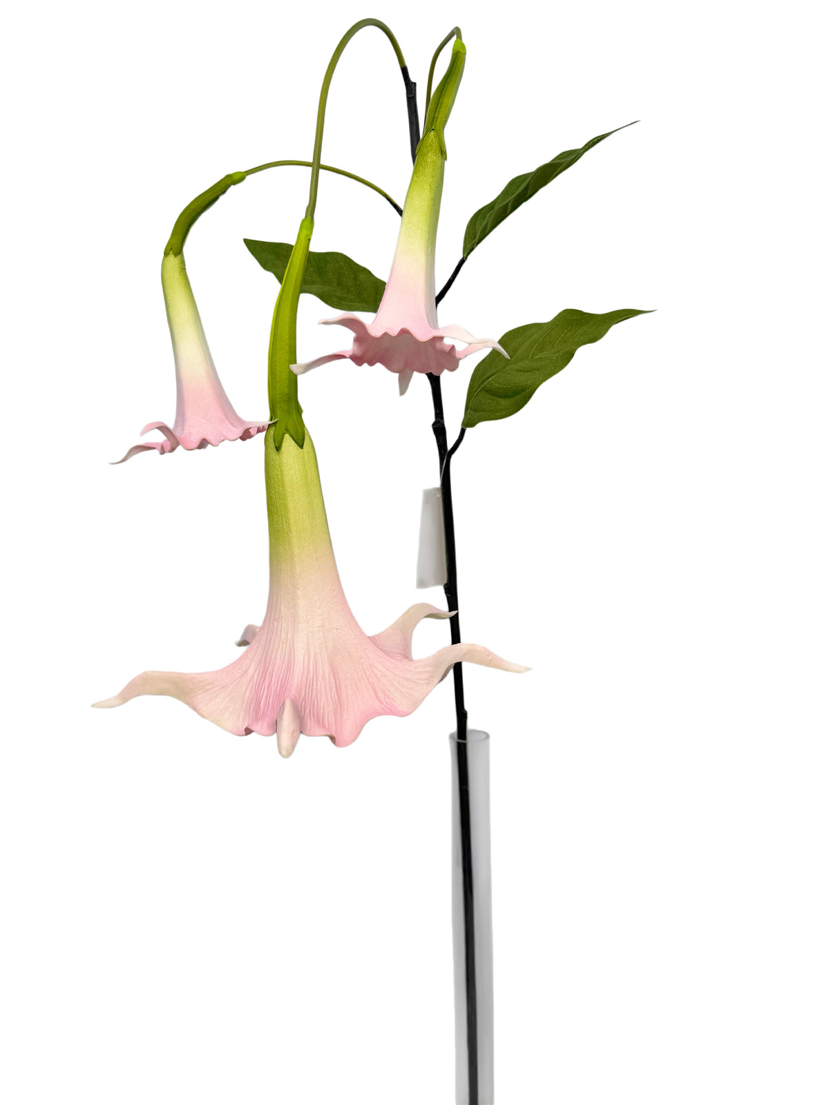 FL13836 TRUMPET LILY SPRAYx3F 51"